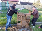 Opravujeme hmyzí hotel